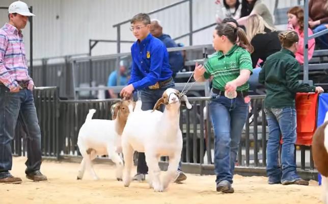 Jackson County Jr. Livestock show held
